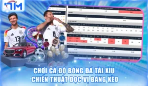 Chơi cá độ bóng đá Tài xỉu
